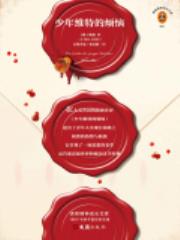 少年维特的烦恼